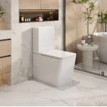 Enox Rimless Toilet Suite